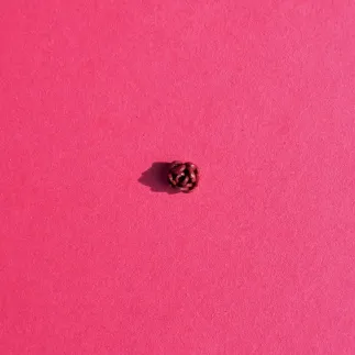 Cutter for polymer clay - jasmine