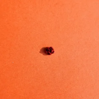 Cortador arcilla polimérica: flor jazmín - Lylo Tools