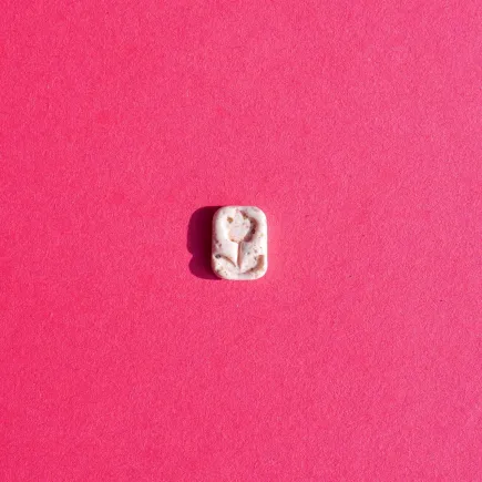 Polymer clay cutter - Flower charm with leaves