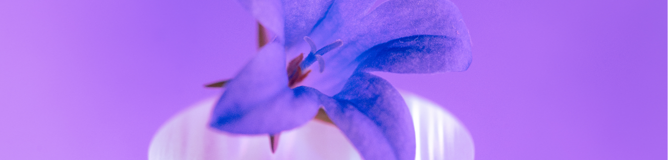 Cortadores para arcilla con formas primaverales - Lylo Tools