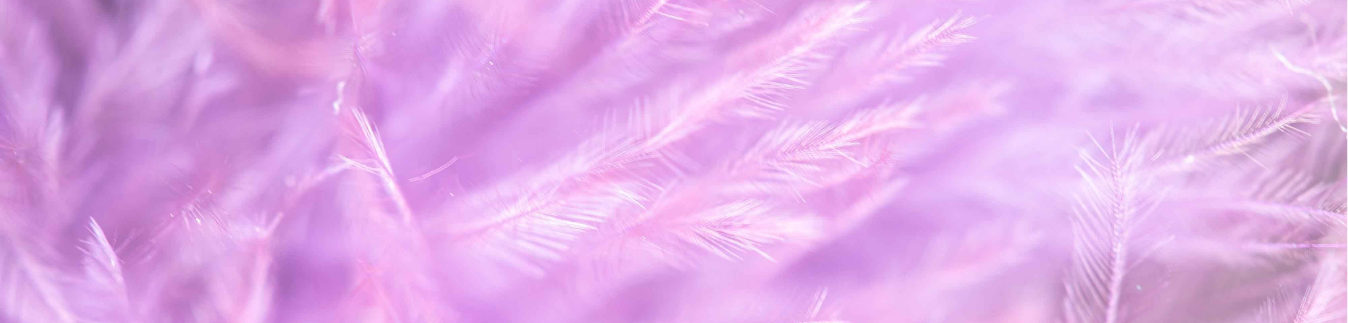 Coquette bow clay cutters - Lylo Tools