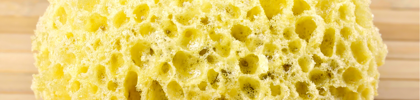 Cierres para pendientes en acero inoxidable - Lylo Tools