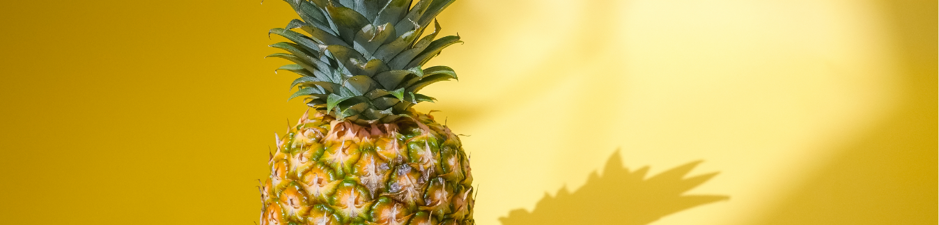 Postes para hacer pendientes en acero inoxidable - Lylo Tools