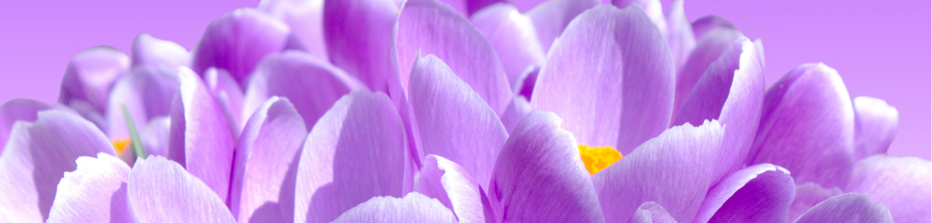 Macramé style polymer clay cutters - Lylo Tools