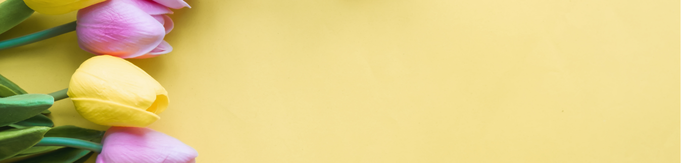 Comprar alfileres y garrotas de acero inoxidable - Lylo Tools