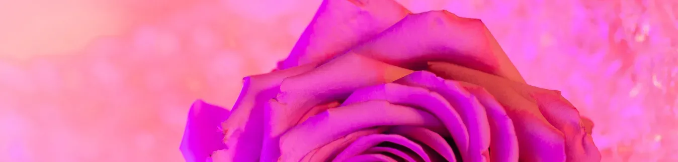 Animal shape cutters to make earrings - Lylo Tools