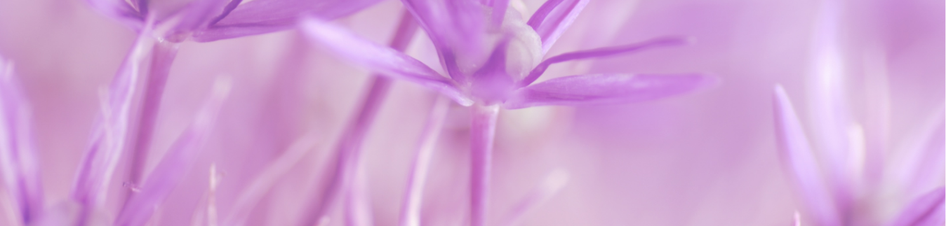 Cutters with organic shapes - Lylo Tools