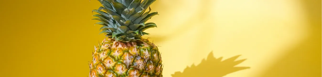 Cortadores y herramientas para arcilla polimérica de 2ª mano - Lylo Tools