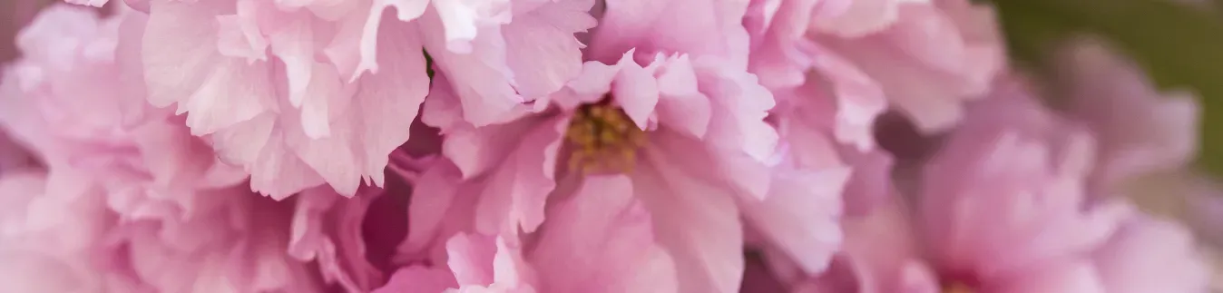 Cortadores para hacer llaveros con arcilla polimérica - Lylo Tools